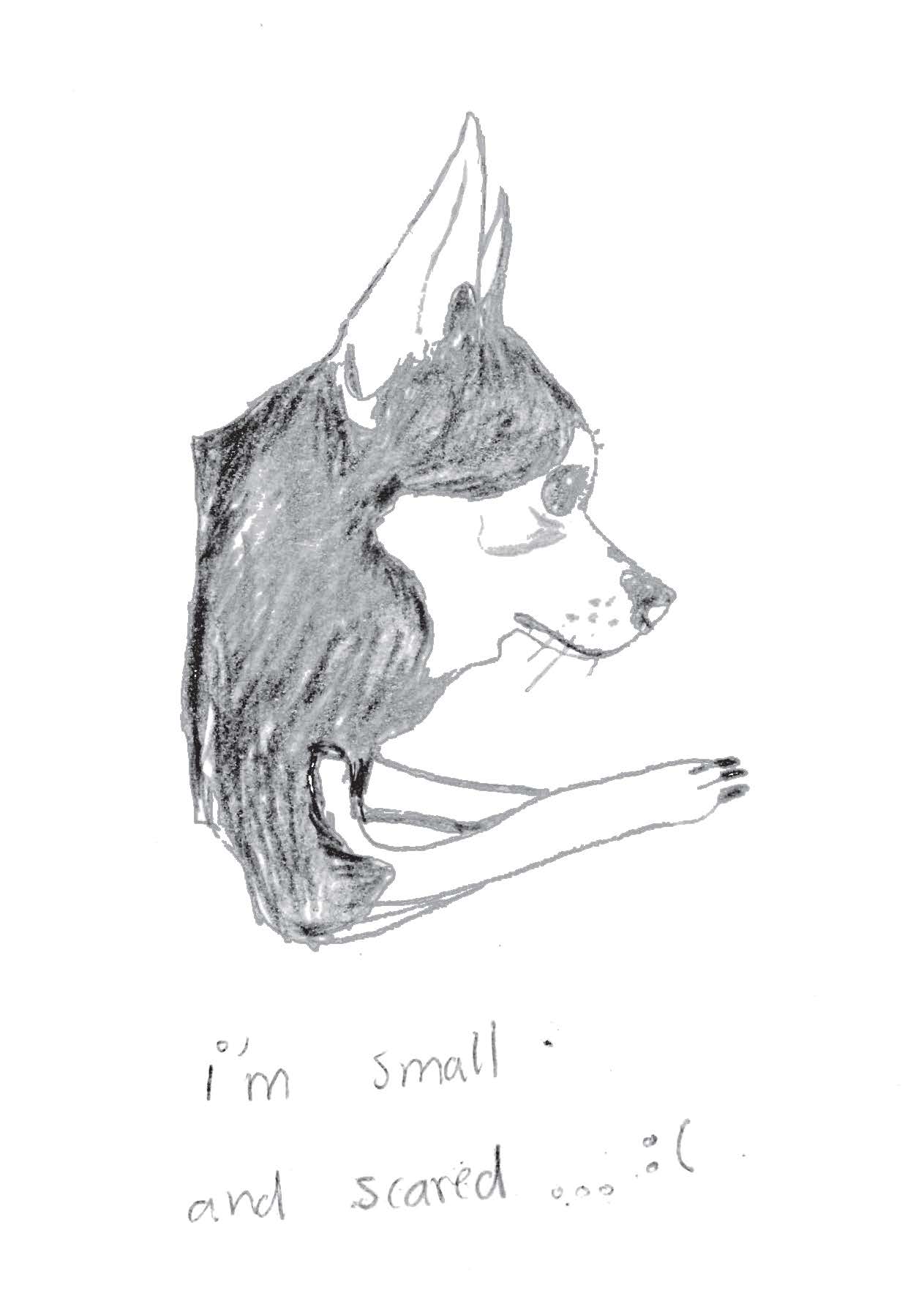 dog drawing Enrique Lanz risograph